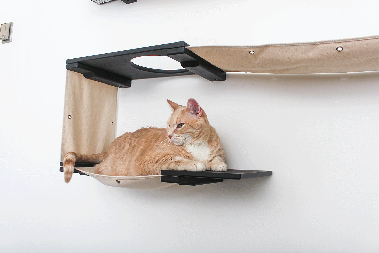 The Roman Cat Condo (Wall Mounted Cat Scratcher) - by Catastrophic Creations