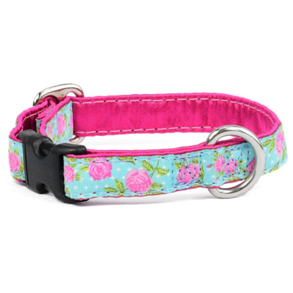 5/8″ Rosy Dots Aqua Martingale Dog Collar