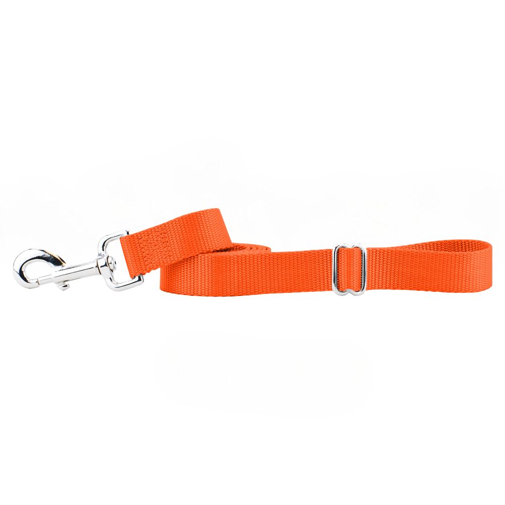 Rust Nylon Dog Leash (1" only)