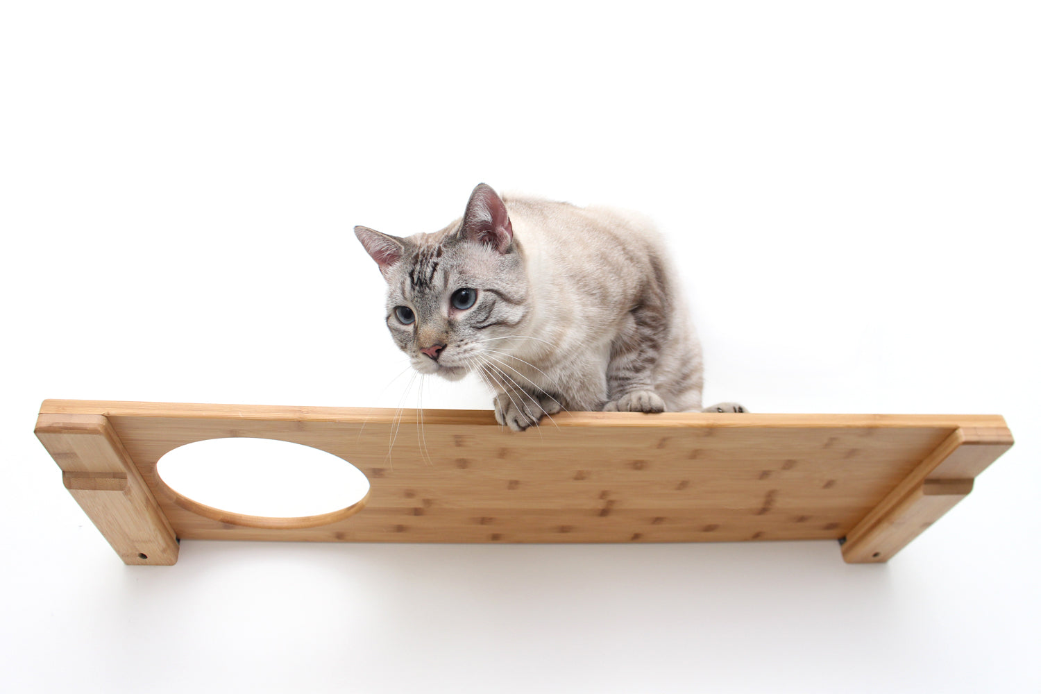 Wall-Mounted Cat Shelf - by Catastrophic Creations