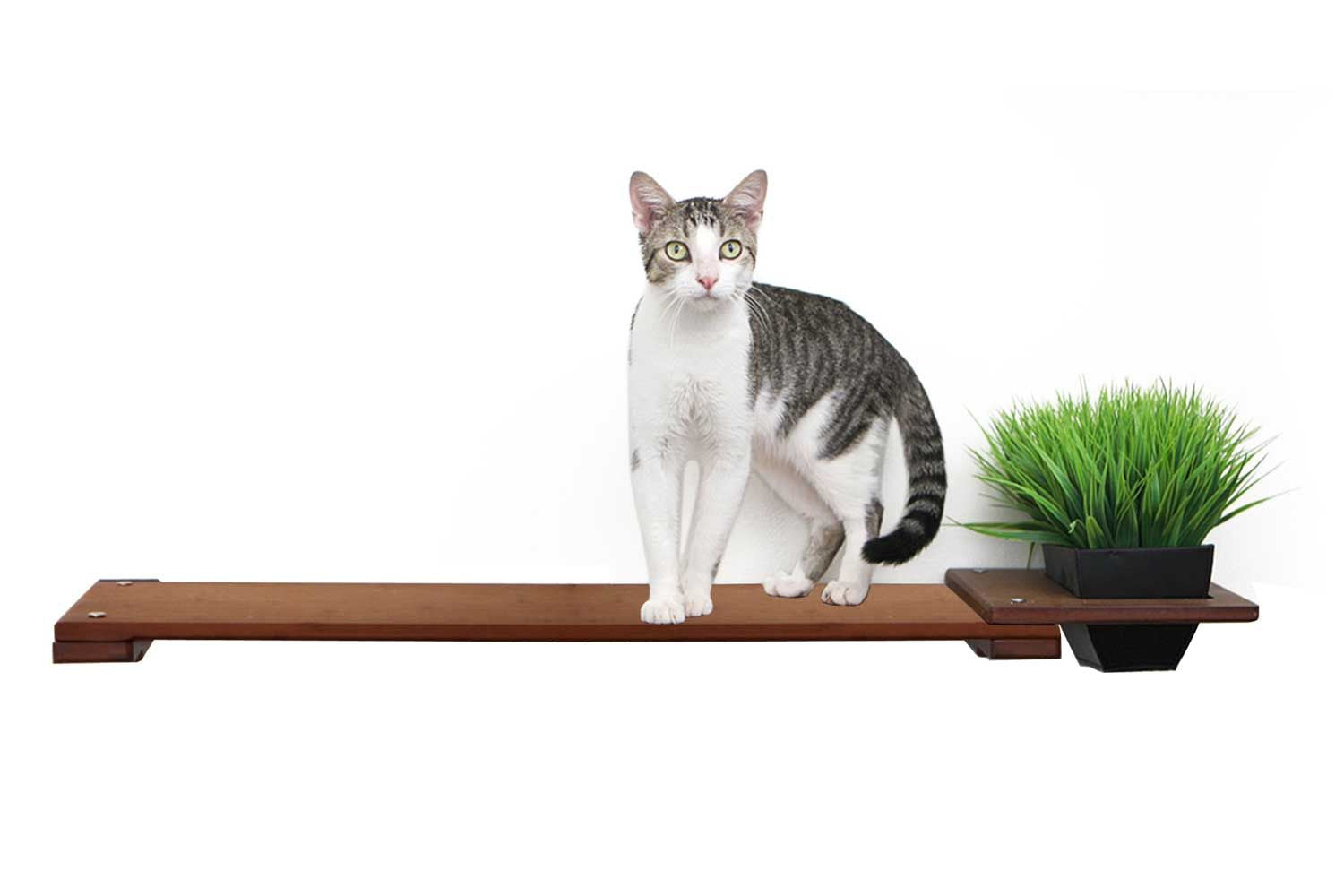 Planter Cat Shelf - for Cat Safe Plants - by Catastrophic Creations