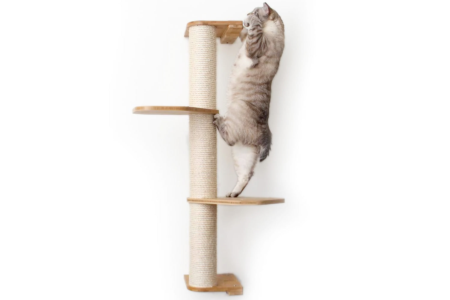 Cat Scratching Pole (Wall-Mounted) - by Catastrophic Creations