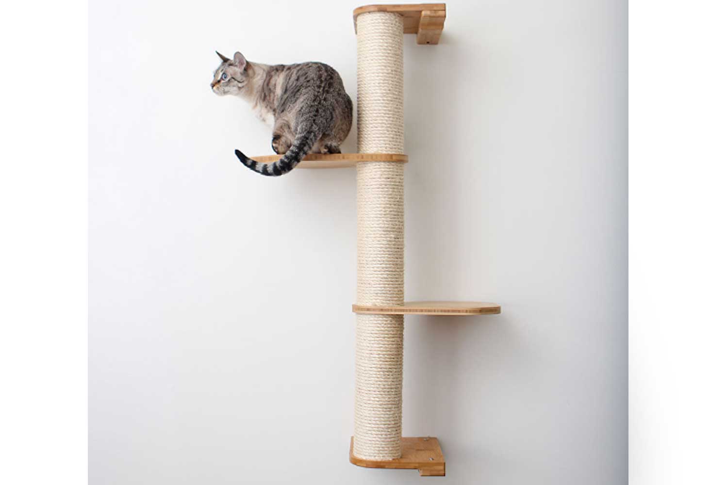 Cat Scratching Pole (Wall-Mounted) - by Catastrophic Creations