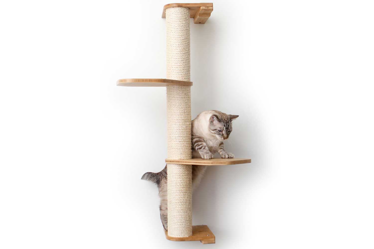 Cat Scratching Pole (Wall-Mounted) - by Catastrophic Creations