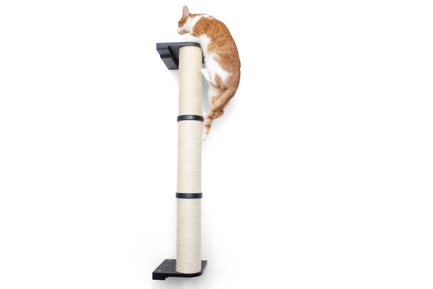 Cat Scratching Pole (Wall-Mounted) - by Catastrophic Creations