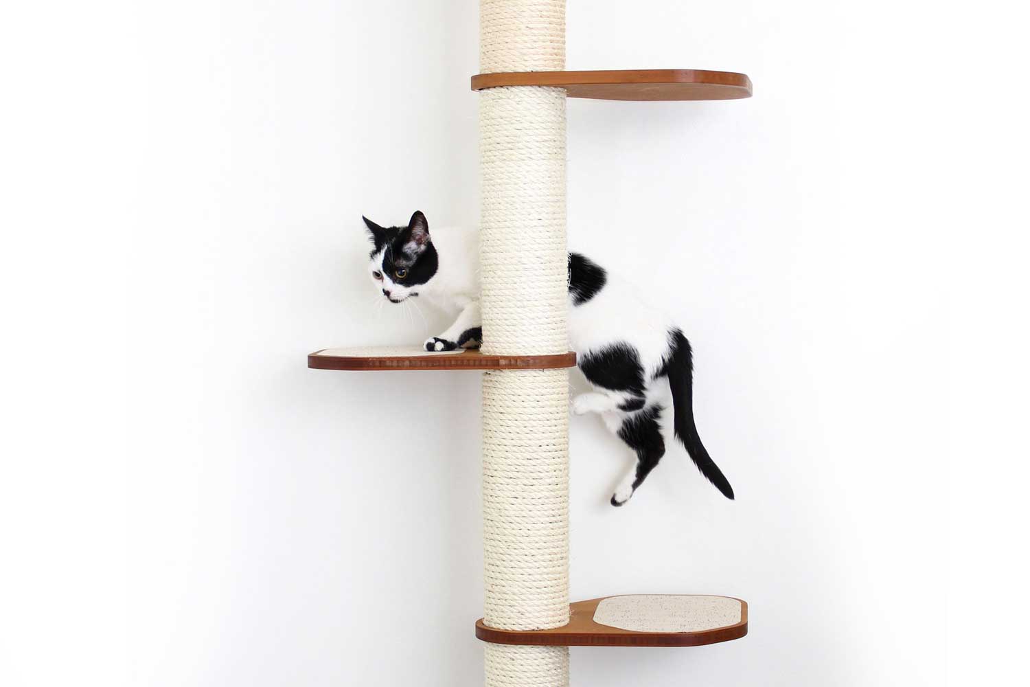 Cat Scratching Pole (Wall-Mounted) - by Catastrophic Creations