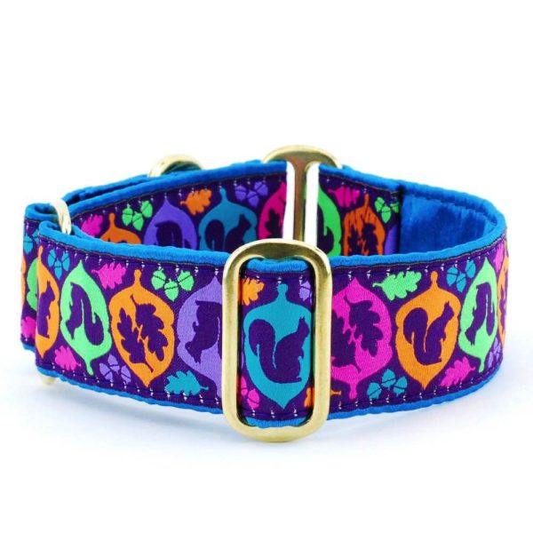 Squirrel! – Exclusive Buckle Martingale Dog Collar