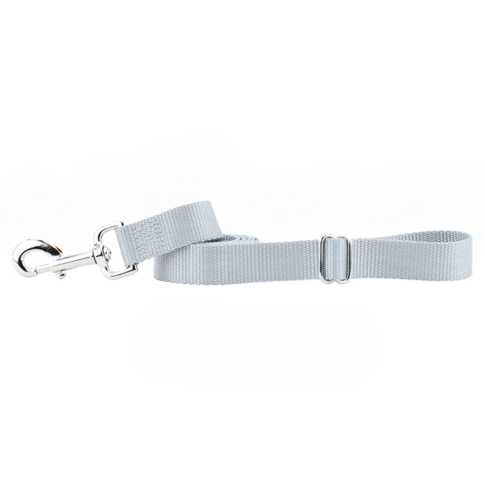 Silver Nylon Dog Leash