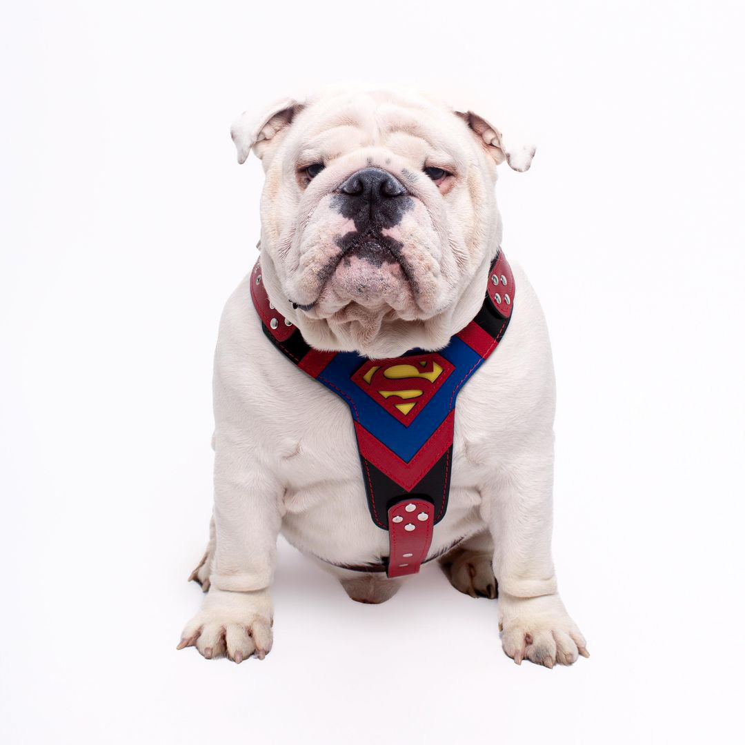 Superdog Harness Medium Size