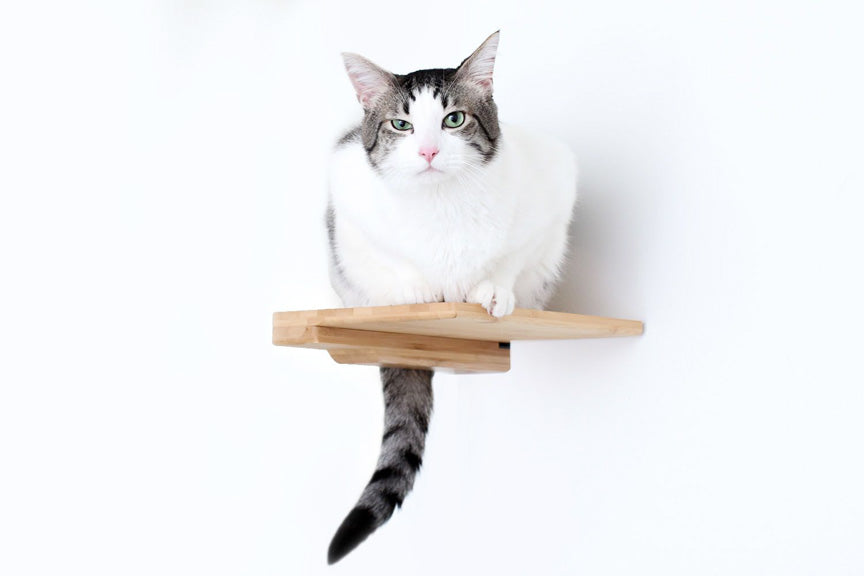 Cat Climbing Shelf - by Catastrophic Creations