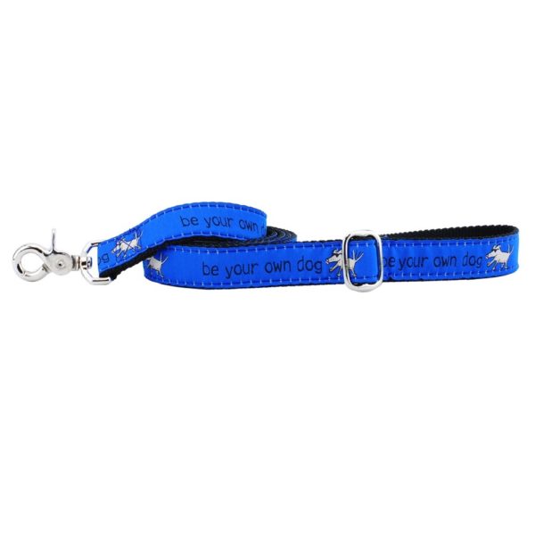 1″ Be Your Own Dog Teddy The Dog Blue Ribbon Dog Leash