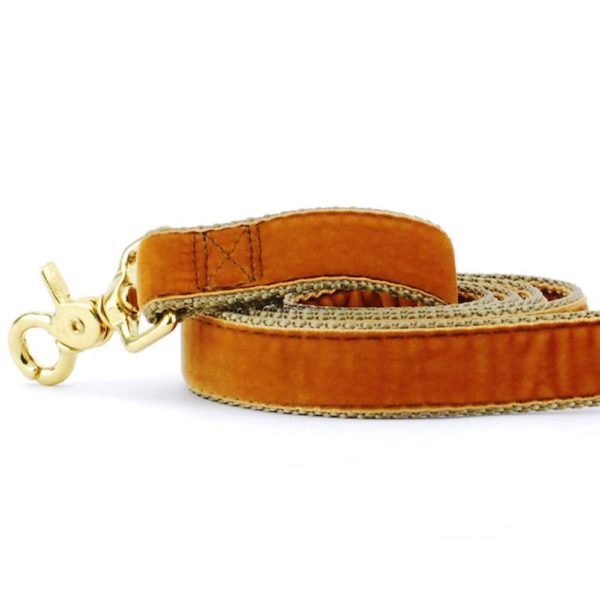 Antique Gold Velvet Dog Leash