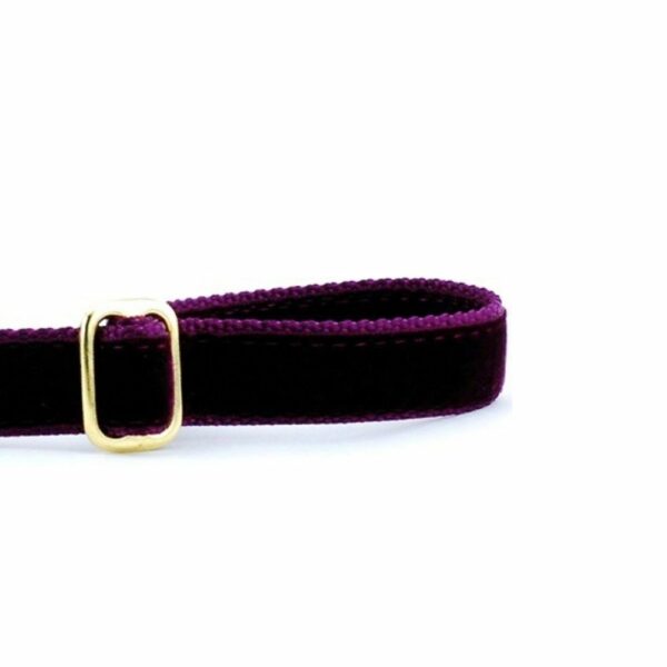 Burgundy Velvet Dog Leash