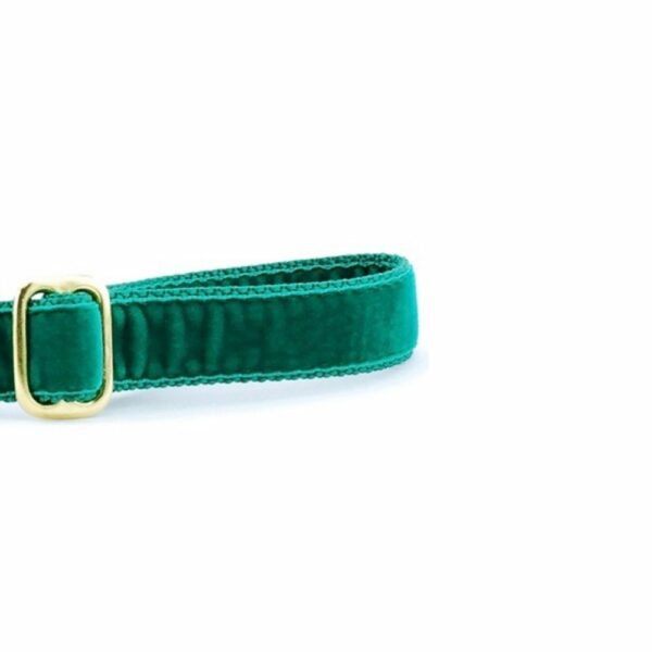 Emerald (Kelly) Velvet Dog Leash