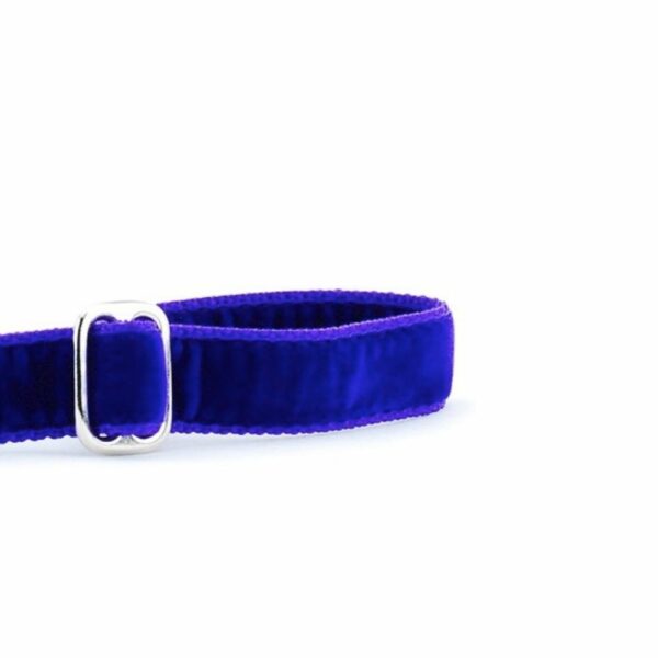 Purple Velvet Dog Leash