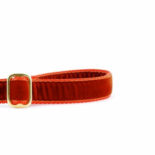 Rust Velvet Dog Leash (1″ Only)