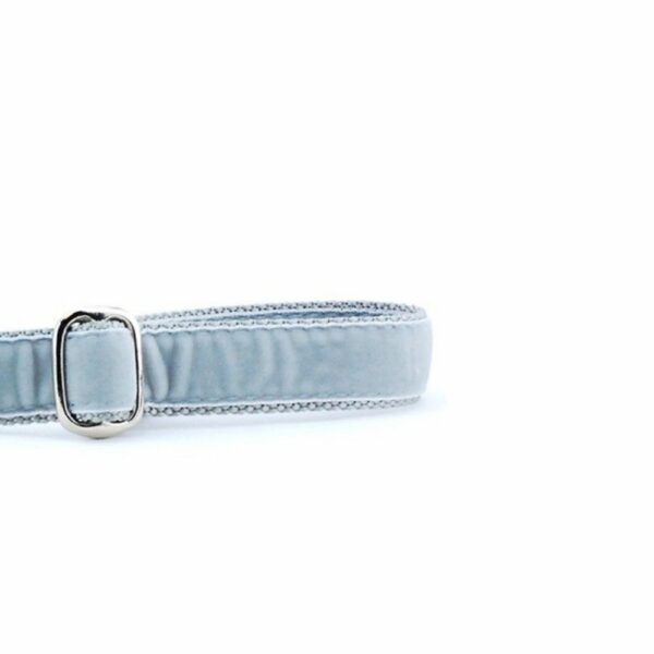 Silver Velvet Dog Leash