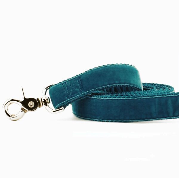 Teal Velvet Dog Leash