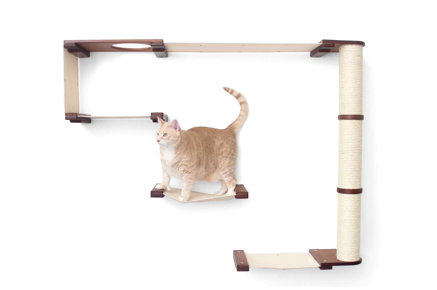 The Climb - Cat Condo (Wall-Mounted) - by Catastrophic Creations