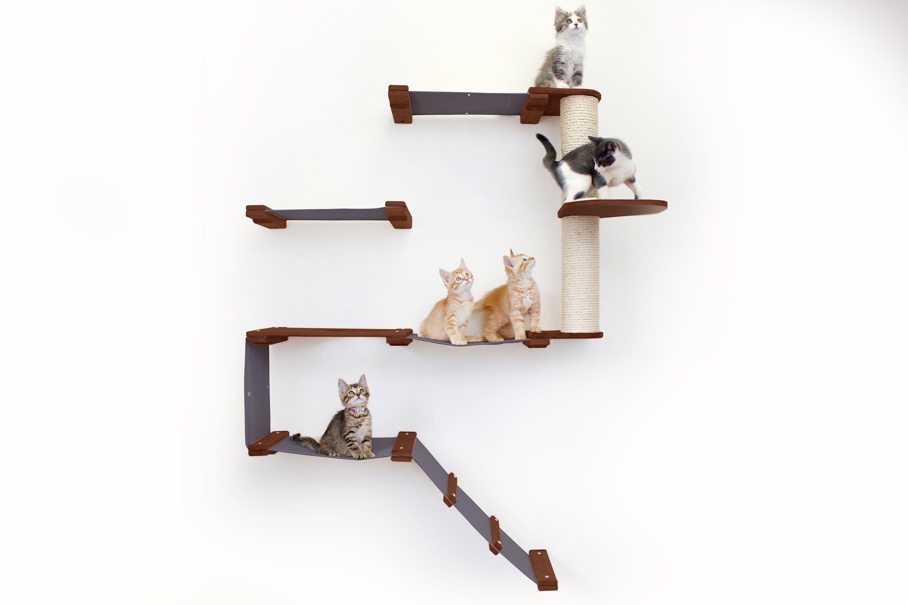 The Deluxe Fort - Modern Cat Condo (Wall Hanging Cat Tree) - by Catastrophic Creations