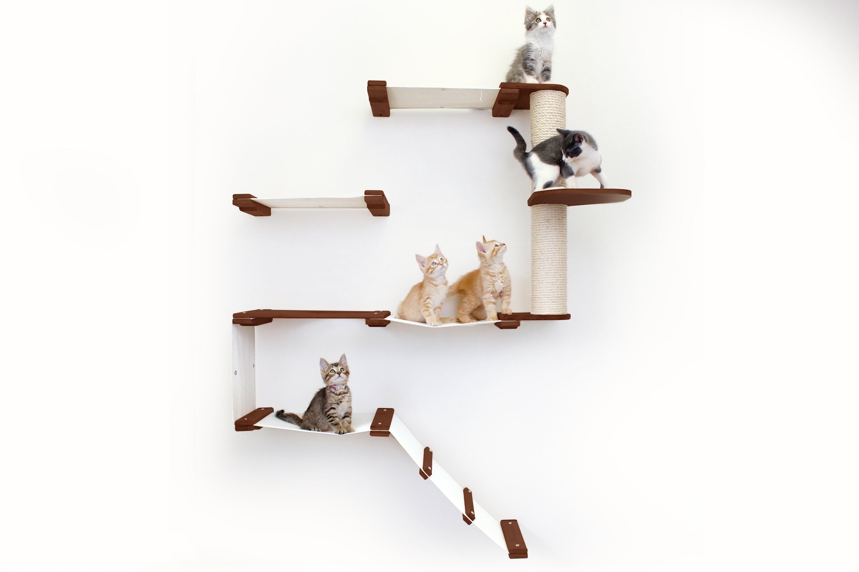 The Deluxe Fort - Modern Cat Condo (Wall Hanging Cat Tree) - by Catastrophic Creations