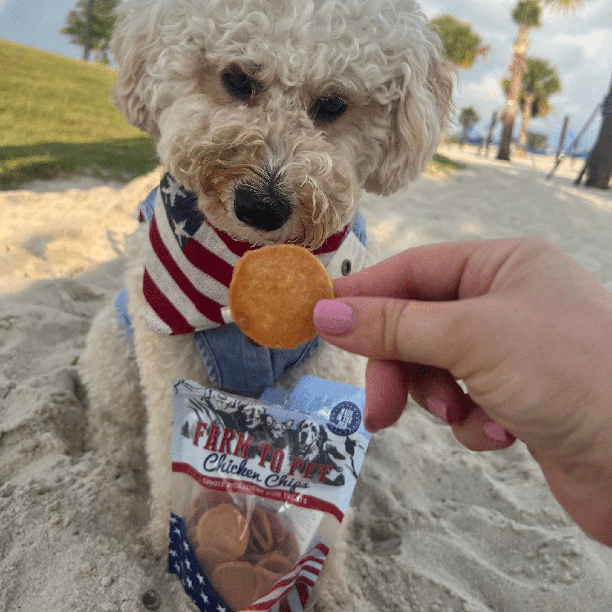 Americana Chicken Chips for Dogs