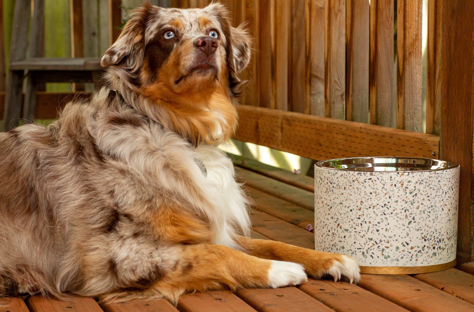 Terrazzo Elevated Dog Bowl