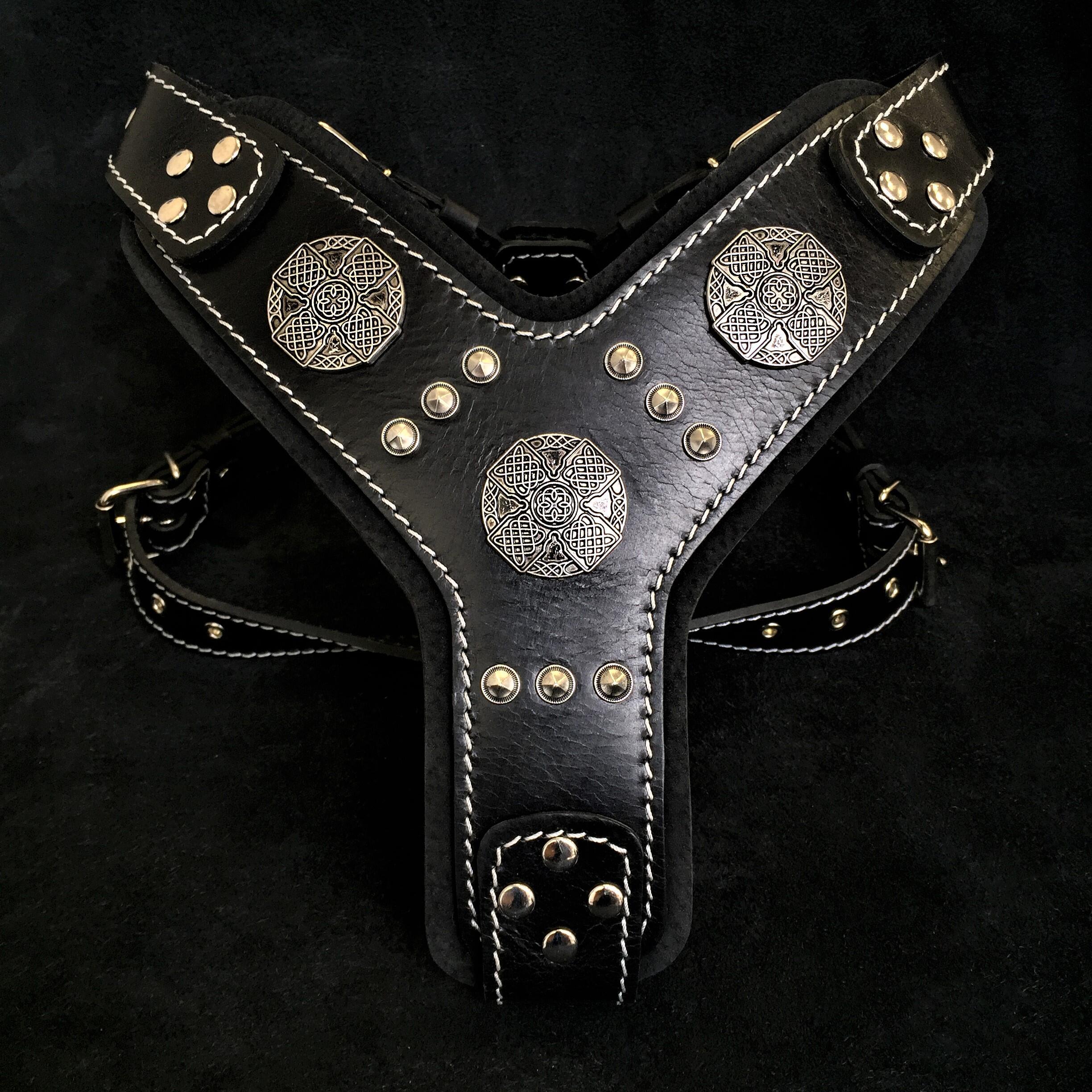 The "Maximus" silver harness