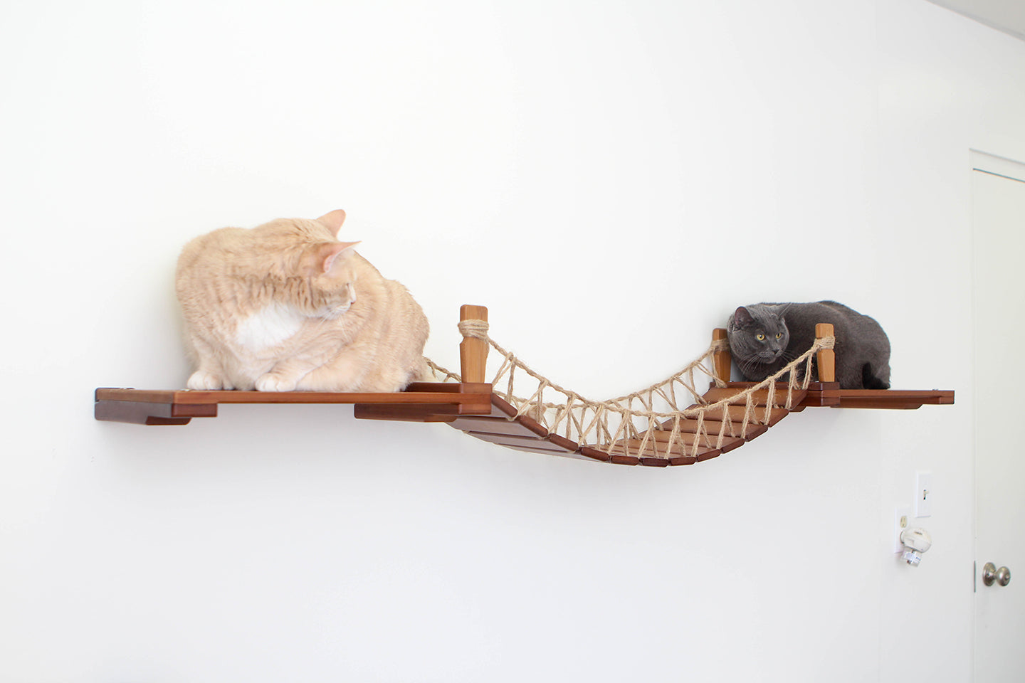 Cat Suspension Bridge - Cat Shelf Set (Wall Mounted) - by Catastrophic Creations