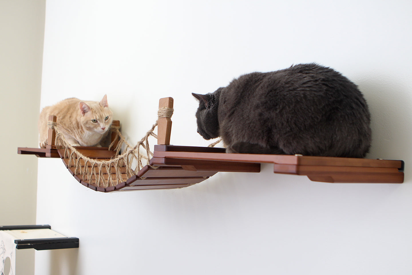 Cat Suspension Bridge - Cat Shelf Set (Wall Mounted) - by Catastrophic Creations