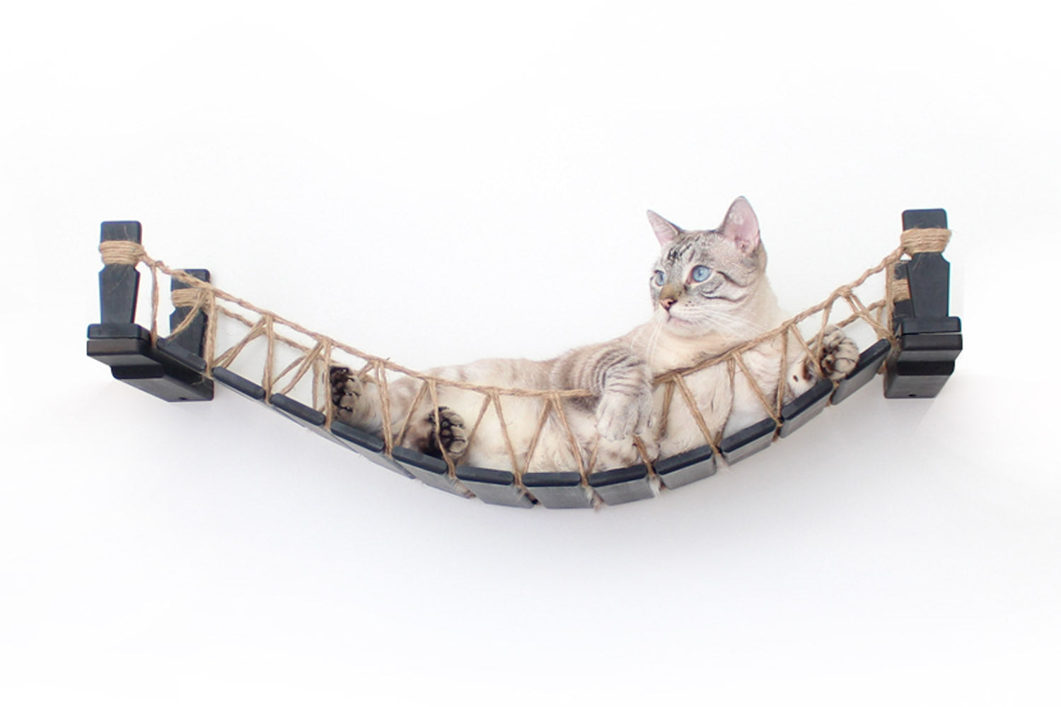 Our Wall-Mounted Cat Bridge - by Catastrophic Creations