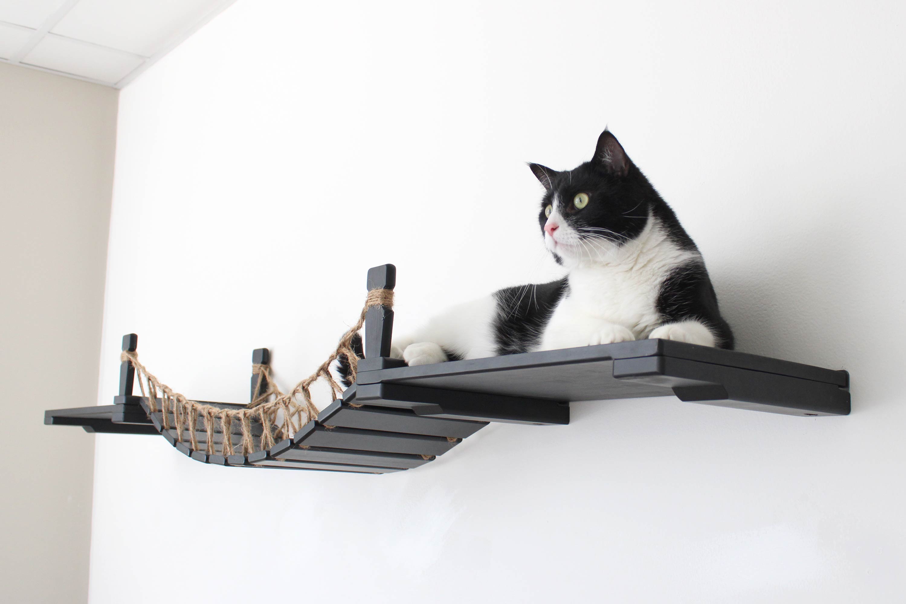 Cat Suspension Bridge - Cat Shelf Set (Wall Mounted) - by Catastrophic Creations