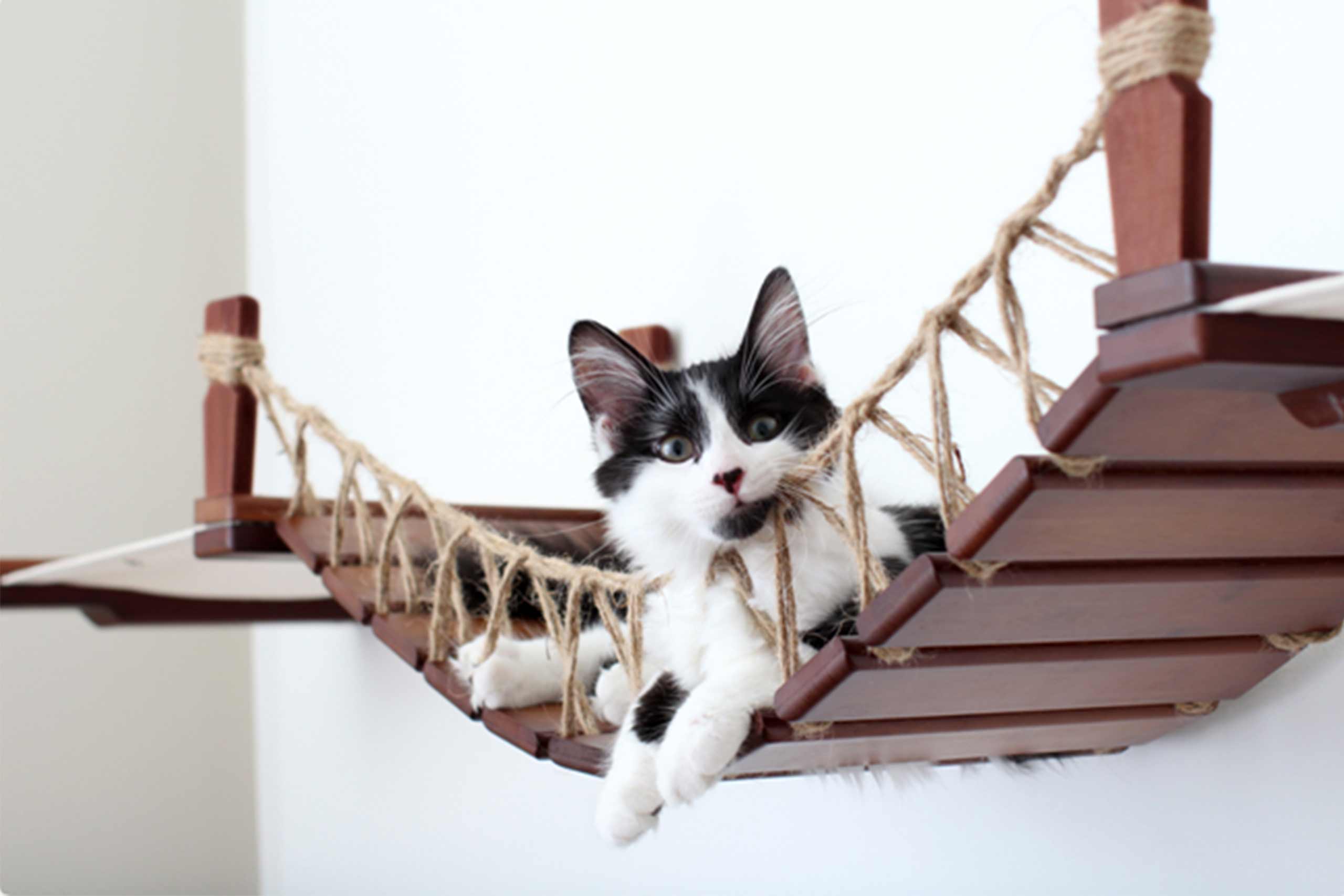 The Cat Bridge Lounge (For Wall) - by Catastrophic Creations