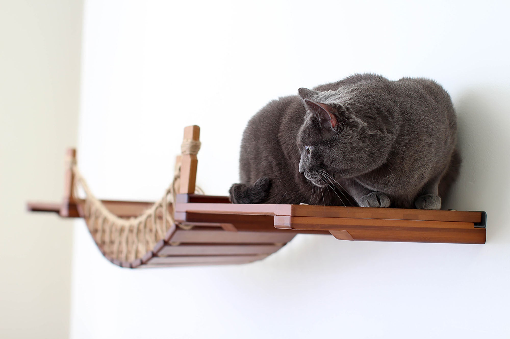 Cat Suspension Bridge - Cat Shelf Set (Wall Mounted) - by Catastrophic Creations