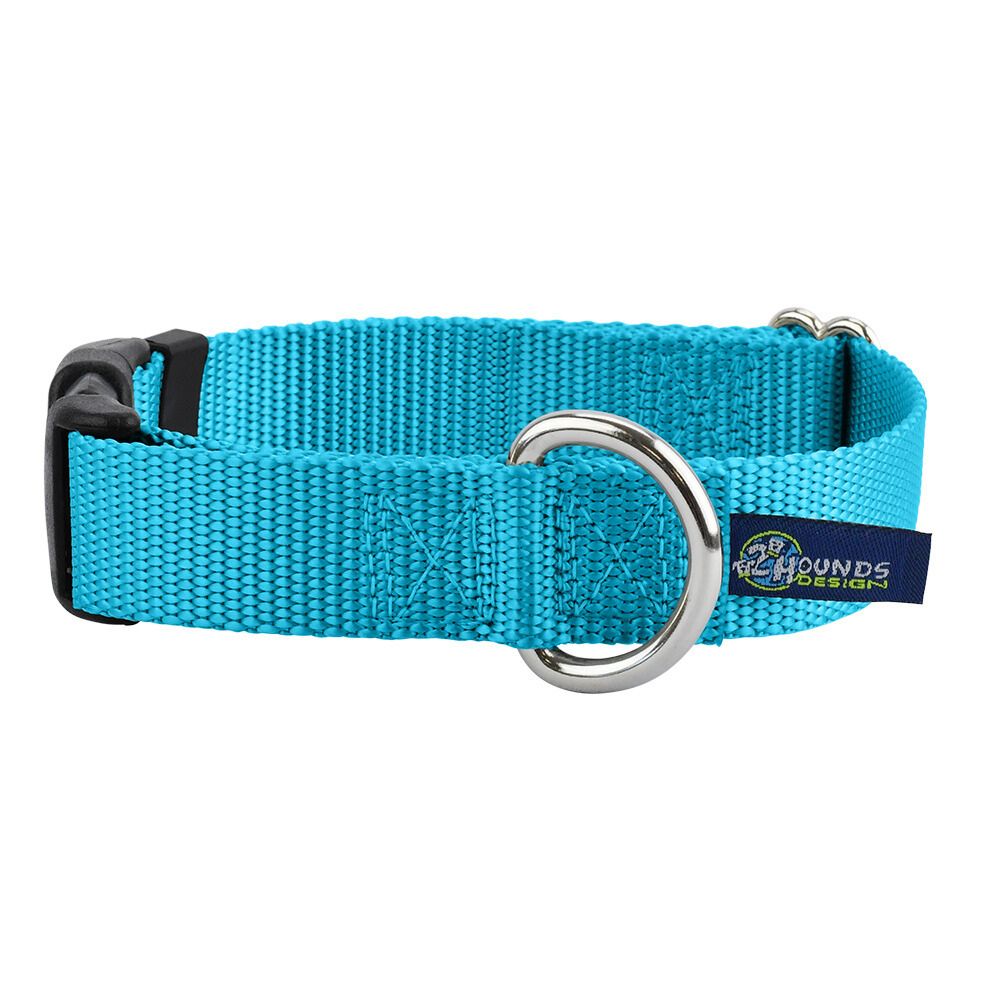 5/8″ and 1″ Turquoise Nylon Dog Collar