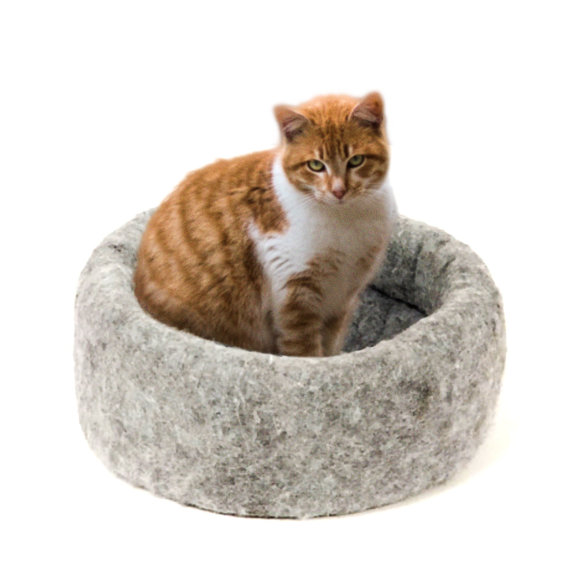 Kuddle kup shop cat bed