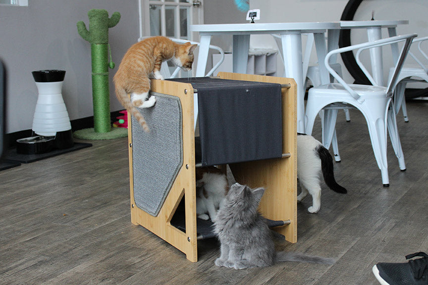 The Grotto - A Cat Tree for Small Spaces - by Catastrophic Creations