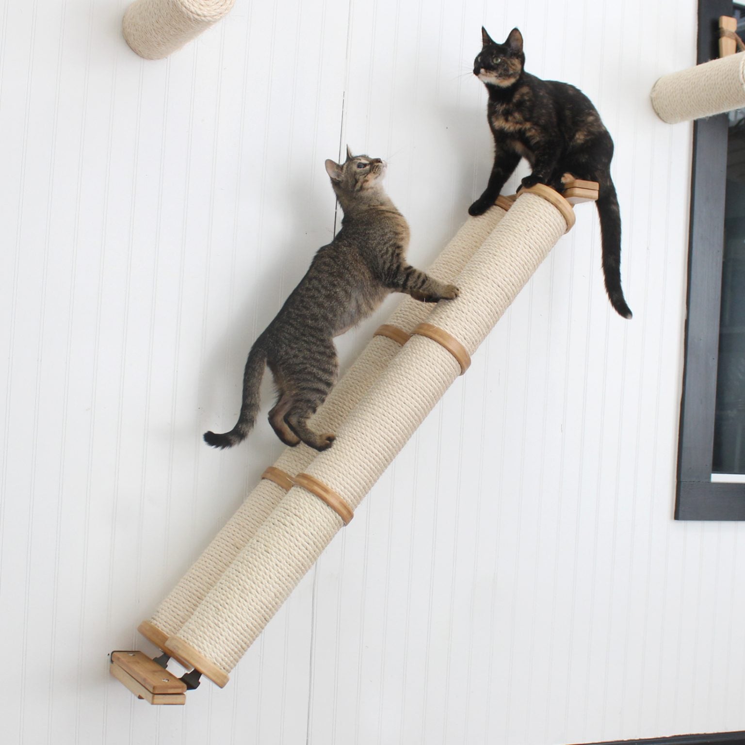 Angled Cat Scratcher Ramp (Cat Wall Scratchers) - by Catastrophic Creations