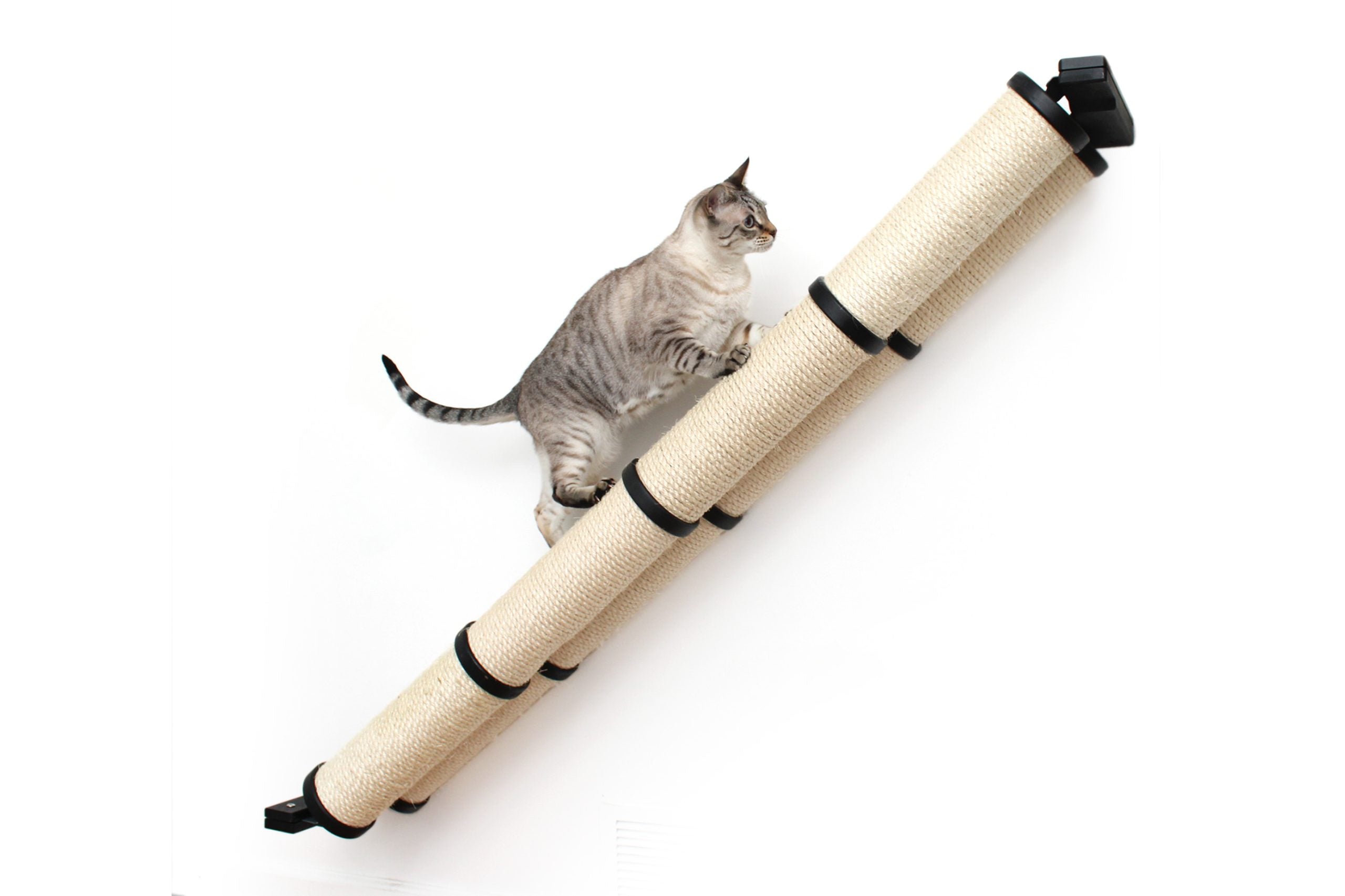 Angled Cat Scratcher Ramp (Cat Wall Scratchers) - by Catastrophic Creations