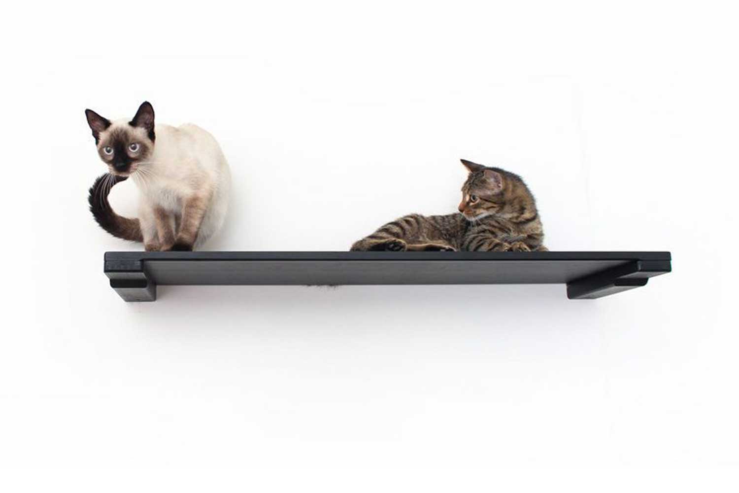 Wall-Mounted Cat Shelf - by Catastrophic Creations