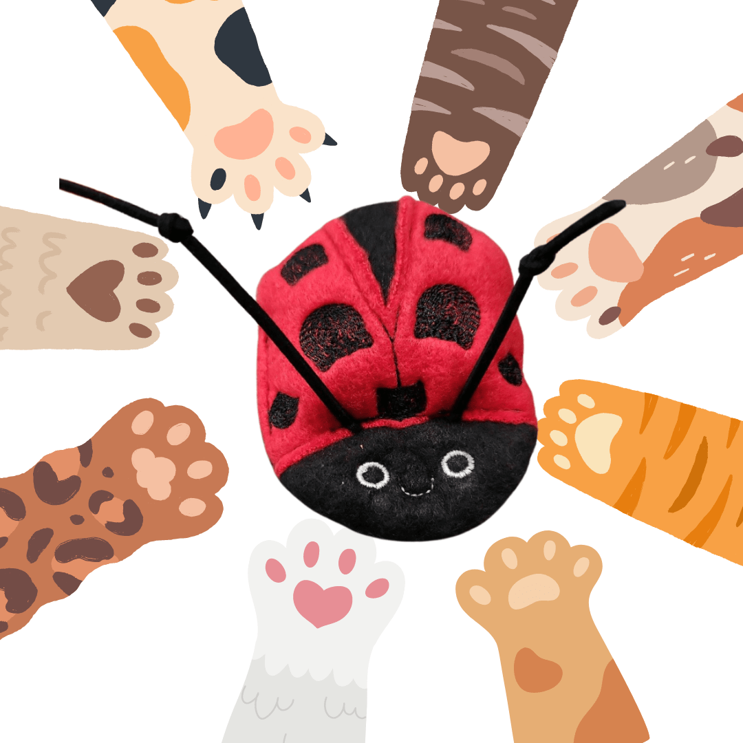 Ladybug Cat Toy