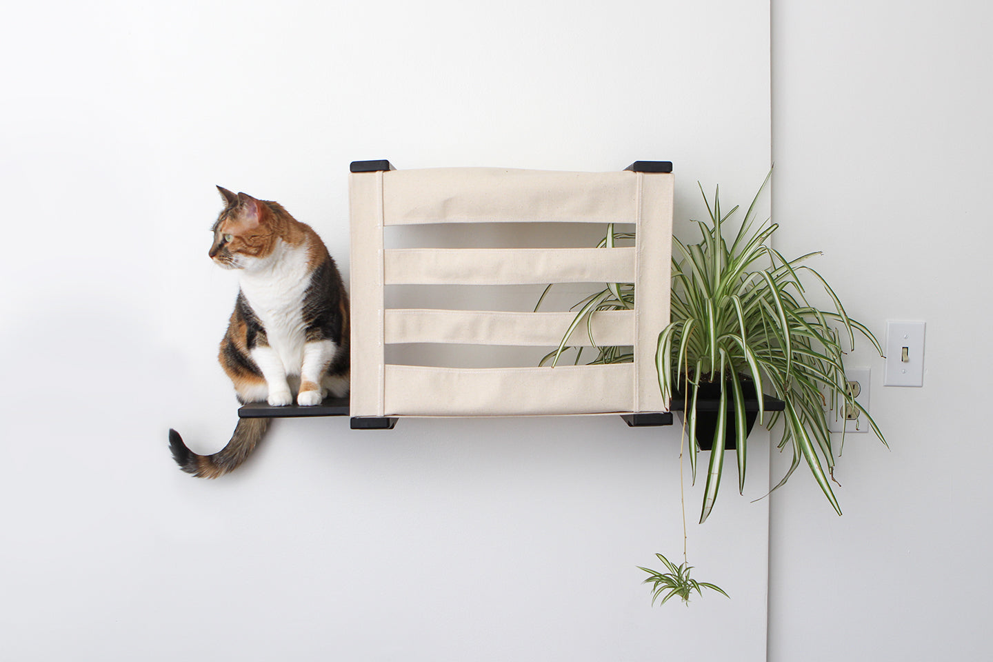 Deluxe Cat Cubby Bed (For Walls) - by Catastrophic Creations