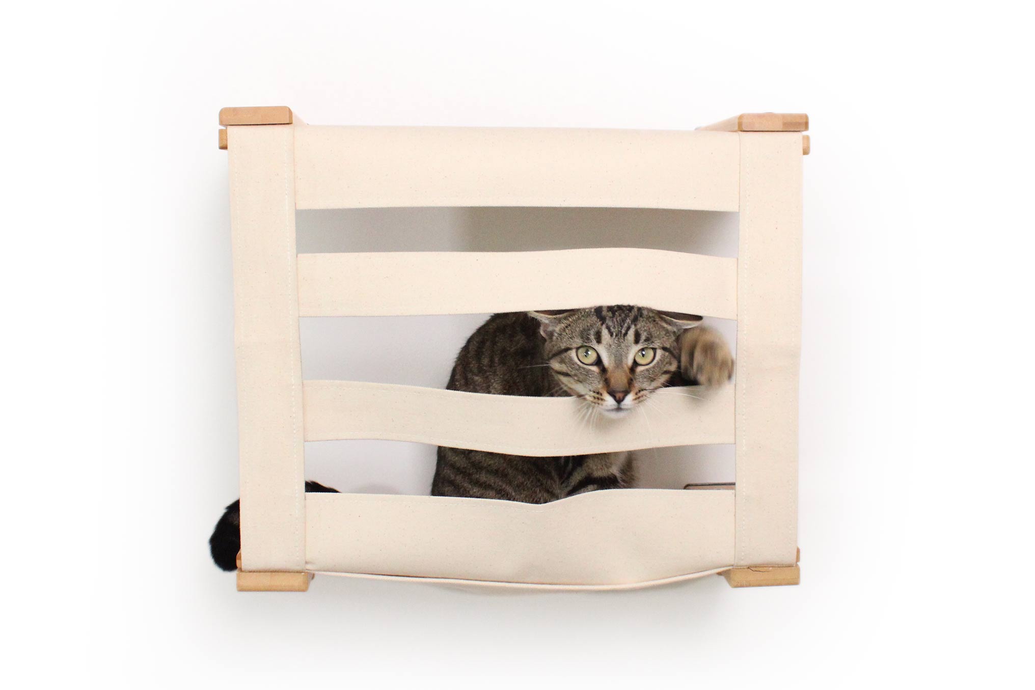 Cat Wall Cubby - Enclosed Cat Bed - by Catastrophic Creations