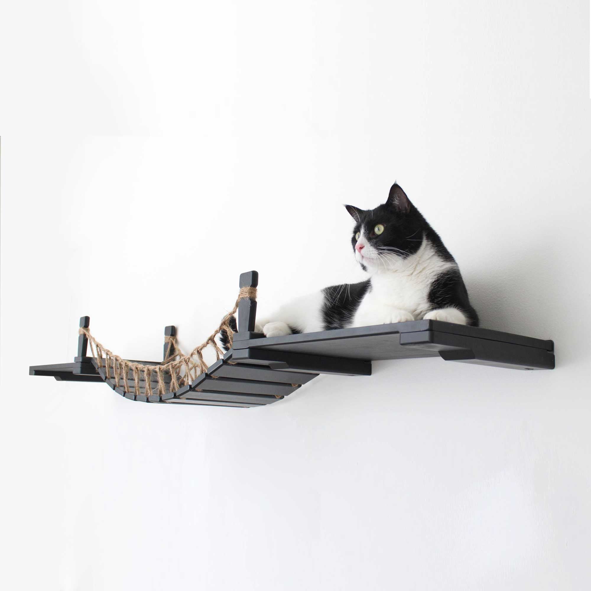 Cat Suspension Bridge - Cat Shelf Set (Wall Mounted) - by Catastrophic Creations