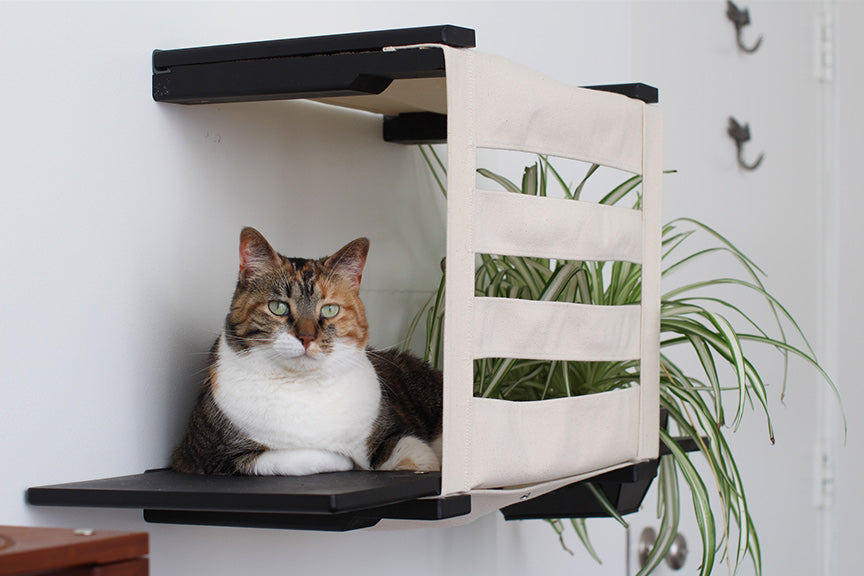 Deluxe Cat Cubby Bed (For Walls) - by Catastrophic Creations