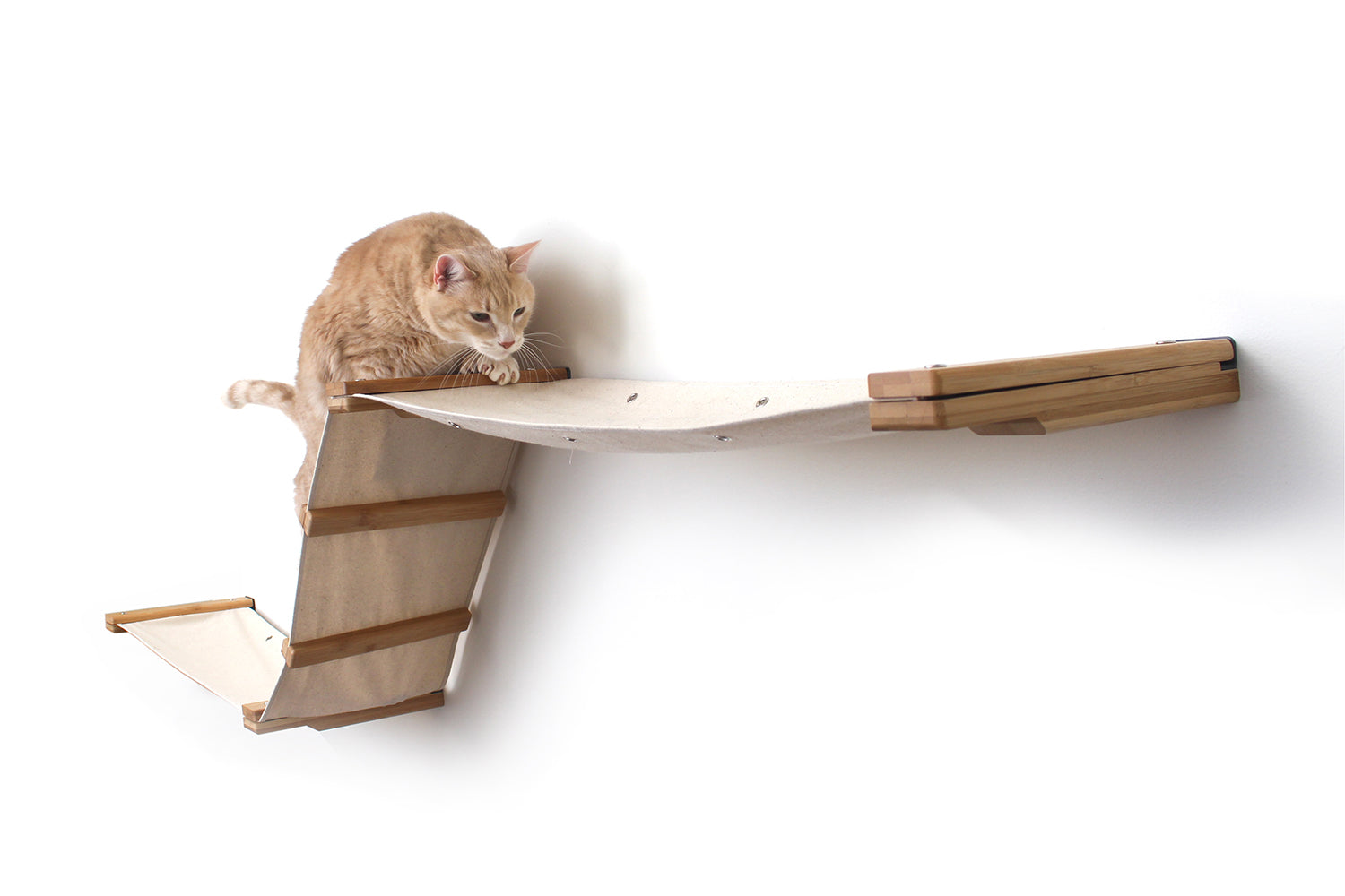 Raceway Hammock - Cat Wall Ramp - by Catastrophic Creations