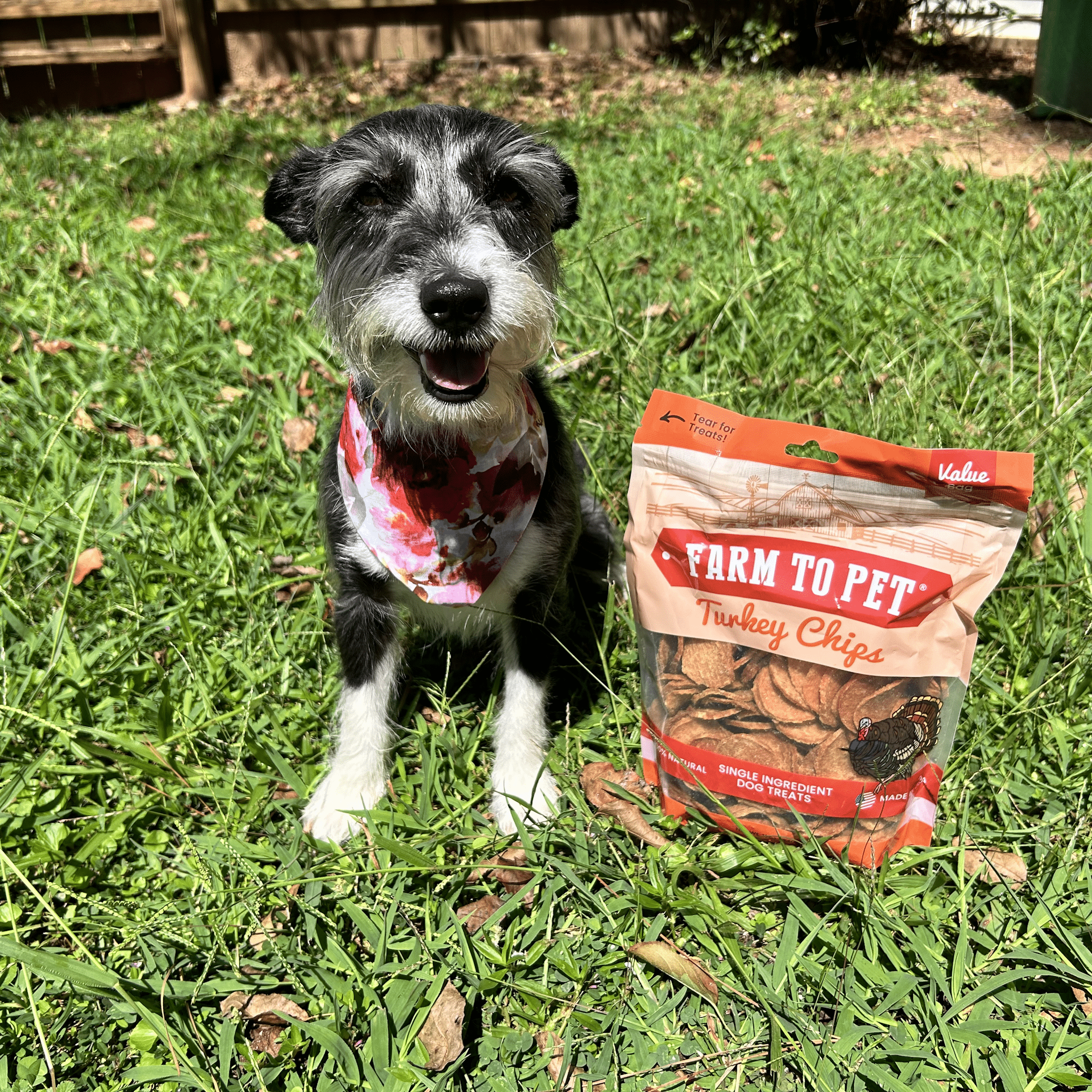 Turkey Chips for Dogs