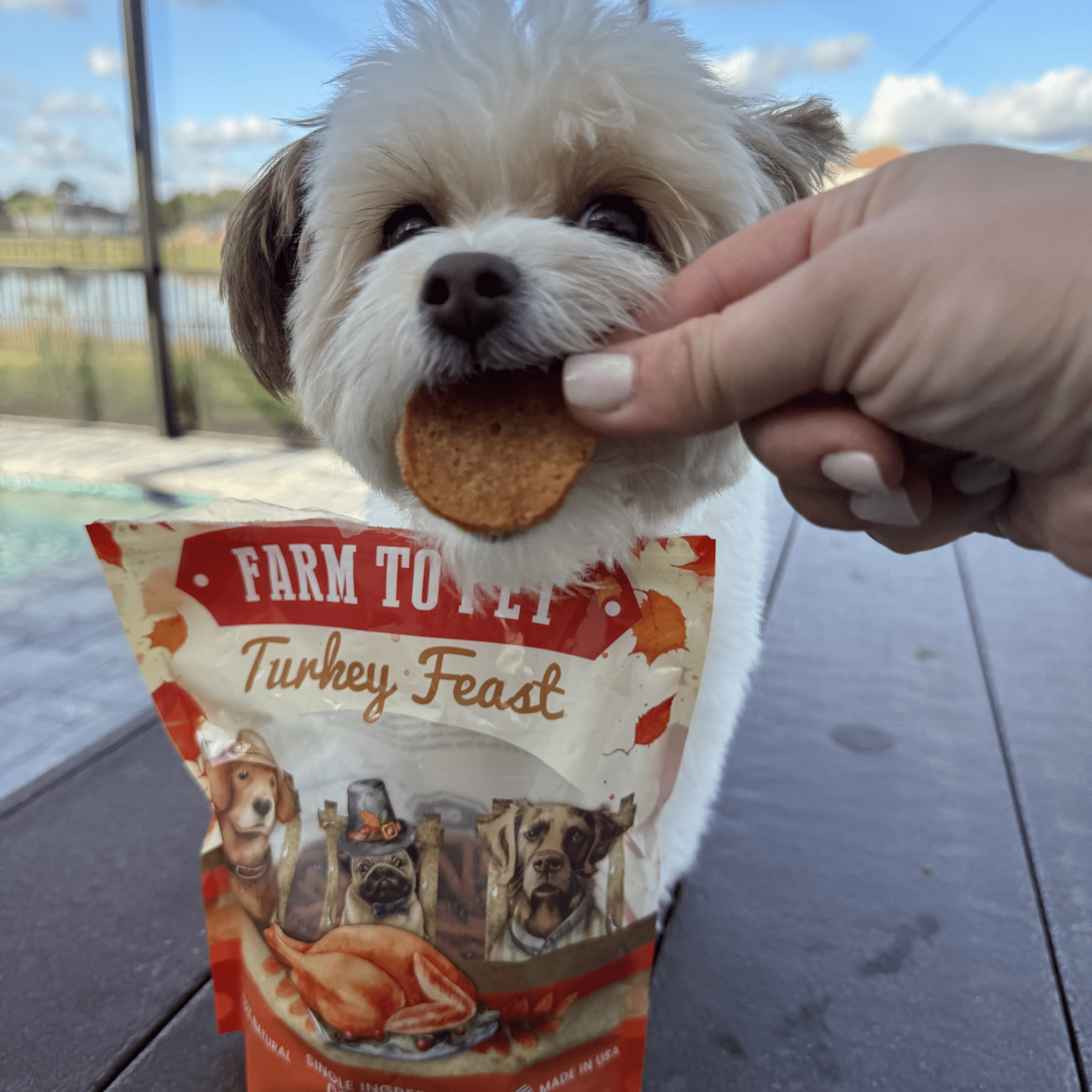 Turkey Feast Chips