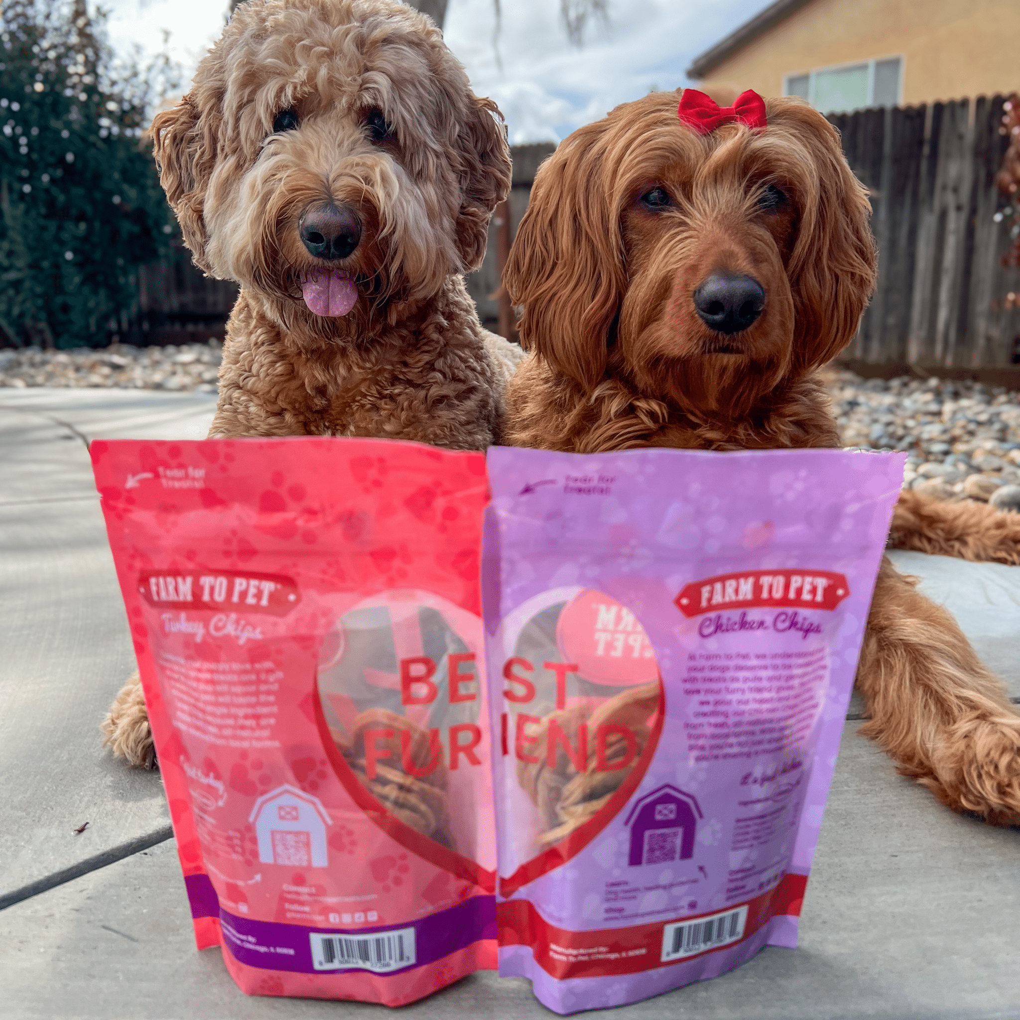 Pets Love Chips Bundle