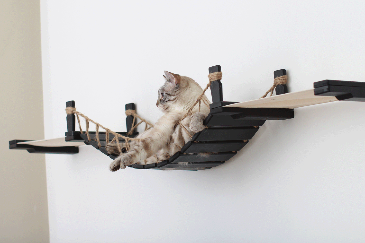 The Cat Bridge Lounge (For Wall) - by Catastrophic Creations